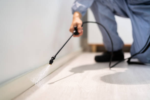 Licensed Ant Control service in McMillin, WA - Show Me Pest Control