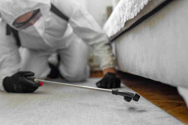 Professional Ant Control technician working in McMillin, WA