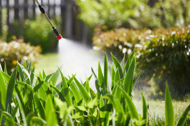 24/7 Emergency Ant Control experts in McMillin, WA