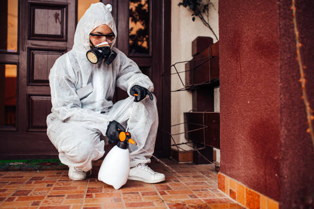 Reliable Ant Control contractor in McMillin, WA by Show Me Pest Control